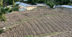 5 Kanal KKH Front Land for Sale in Shinkiari Mansehra – PKR 1.3 Crore